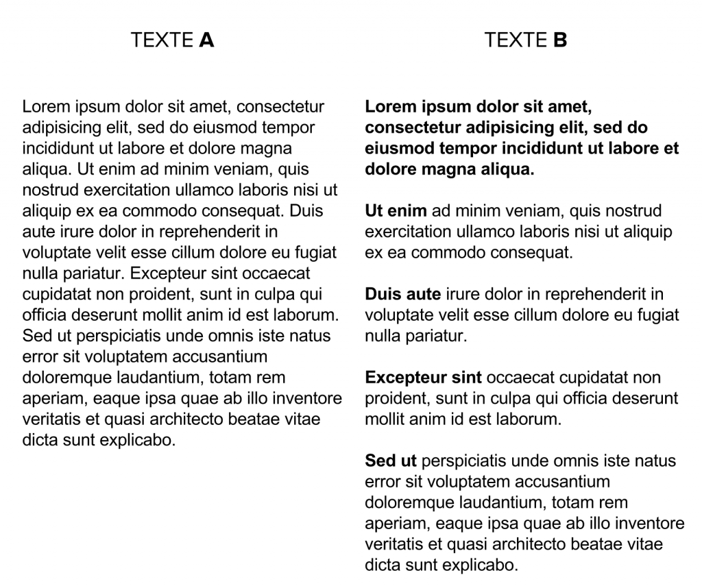 texto 2