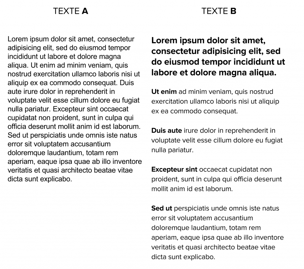 texto 3