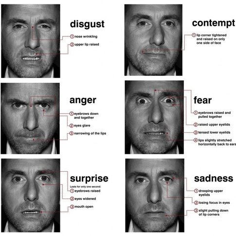 tim roth face's expressions
