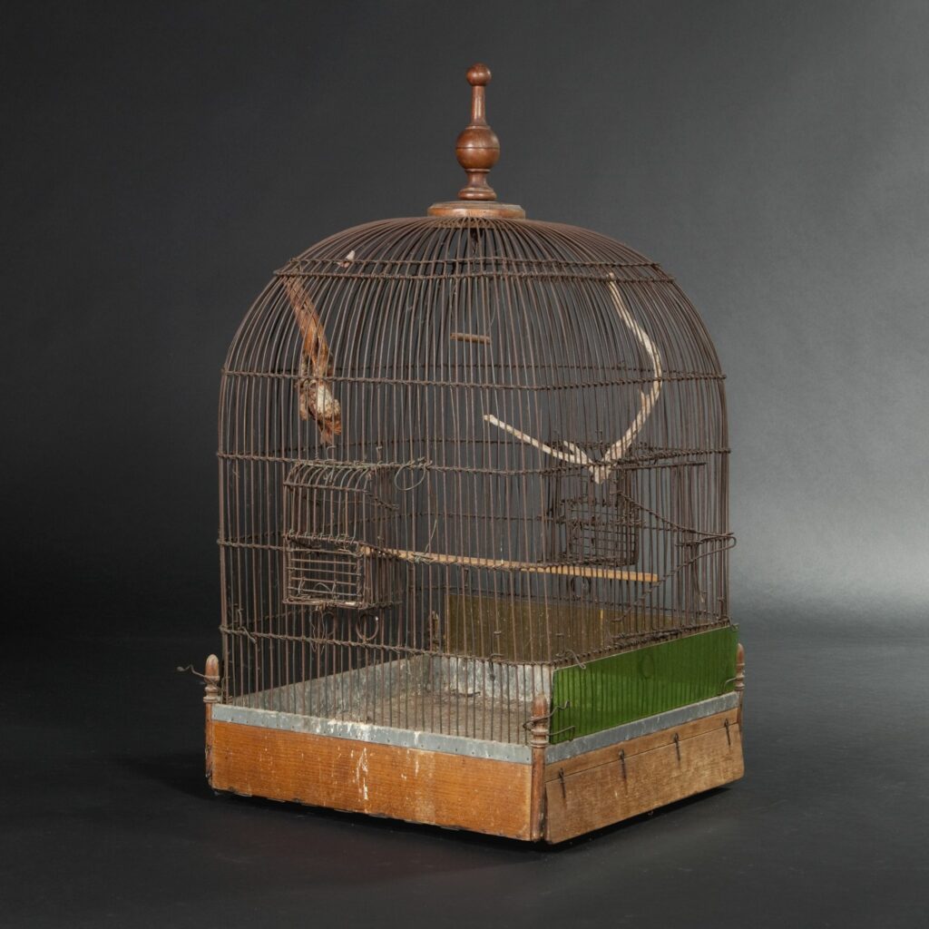 cage oiseau